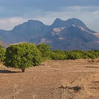 Paysage sec de Madagascar avec montagnes rocheuses et arbres isolés sous un ciel dégagé